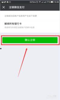 钱包变成人物视频,人物视频的奇幻转换之旅